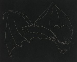 Night Series: The Bat