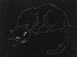 Night Series: The Cat