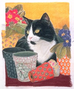 Bhajii and Flowerpots