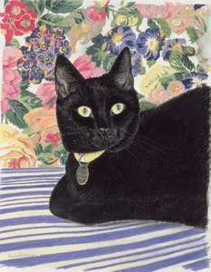 Black Cat by Anne Robinson