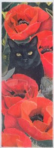 Black Cat with Poppies