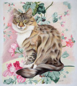 Long Hair Tabby by Anne Robinson