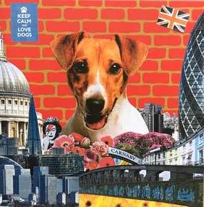Jack Russel