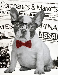 Wall Street Dog