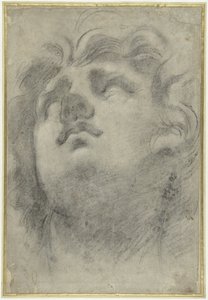 Head of a Triton Looking Up by Annibale Carracci