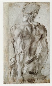 Study of a Male Figure