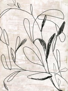 Botanical Line Drawing
