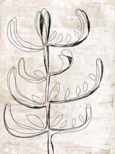 Organic Botanical Sketch