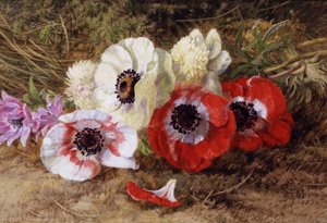 Anemones by Annie Feray Mutrie
