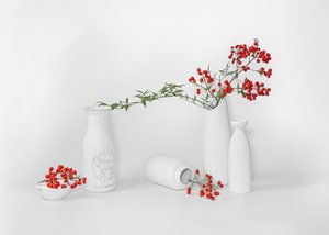 Minimalist Red Berry Display by Annie Poreider