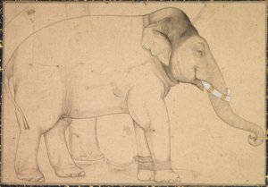 Drawing of an Elephant