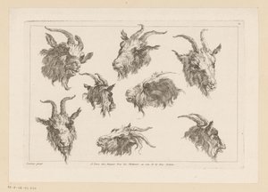 Eight Goat Heads