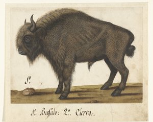 Album Sheet with a Bison (Lombard album)