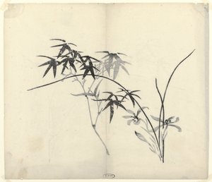 Bamboo and Orchids by Anonymous