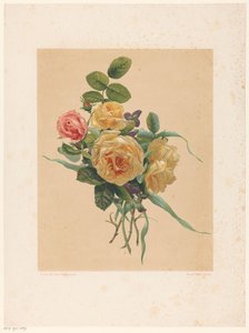 Forest of roses and violets