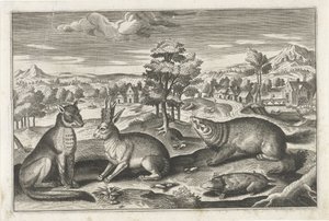 Forest Animals (series title: Quadruped Animals) by Anonymous