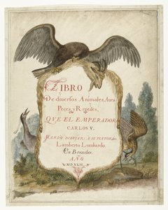 Cartouche Held by a Stone Eagle, Heron, and Bittern (Lombard Album)