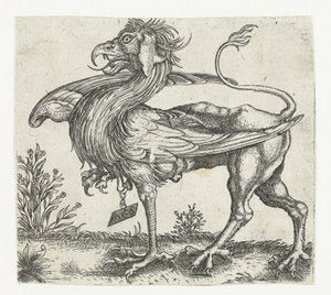 The Griffin by Anonymous