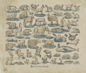 Animals (title on object: Natural History)