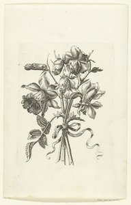 Three Flowers, Including a Daffodil and a Carnation Novae Florum Icones (series title)