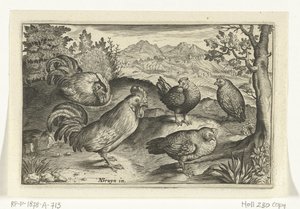 Three Hens and Two Roosters (Birds and Insects series) by Anonymous