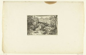 Three Hens and Two Roosters (series title) by Anonymous