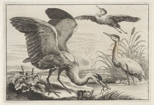 Three Herons