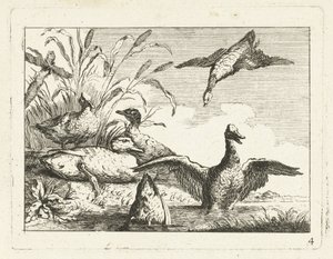 Ducks by a Pond by Anonymous