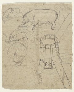 Studies of Pigs, a Peacock, a Parrot, and a Tower by Anonymous