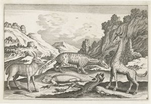 Exotic Animals by Anonymous