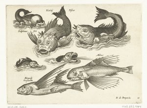 Fantastic Water Creatures, including Dolphin and Pitfish by Anonymous