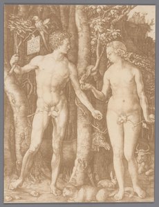 Photo Reproduction of the Engraving Adam and Eve by Albrecht Dürer by Anonymous