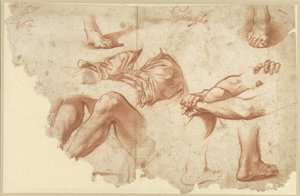 Fragment of Study Sheet with Arms, Legs, Feet by Anonymous