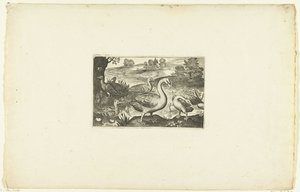 Geese and Ducks by a River (series title) by Anonymous
