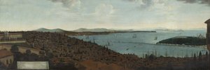 View of Constantinople and the Seraglio from the Dutch Embassy by Anonymous