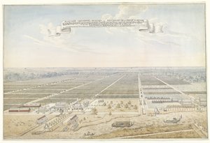 View of the Coffee Plantation Leeverpoel in Suriname by Anonymous