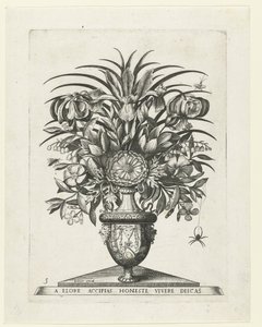 Grotesque Vase with Two Mascarons on Either Side of a Bucentaur (series title: Vases with Flowers)
