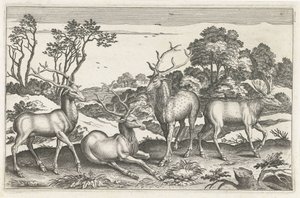 Deer (series: Four-Legged Animals, Animalivm Qvaddrvpedvm) by Anonymous