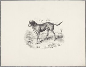 Dog on a Chain by Anonymous