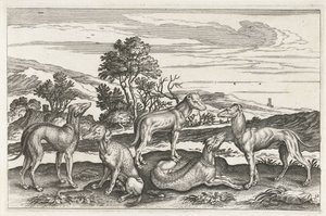 Hunting Dogs
