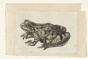 Frog Lombard Album (series title)