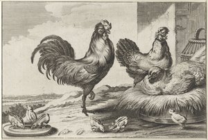 Chicken, Roosters, and Chicks by Anonymous