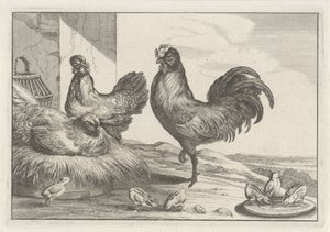 Chicken, Roosters, and Chicks by Anonymous