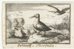 Landscape with Three Snipes