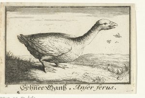 Landscape with Wild Goose by Anonymous