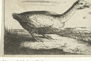 Landscape with Wild Goose by Anonymous