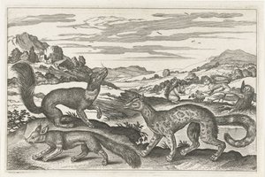 Martens, Squirrels, and a Fox (series: Four-Legged Animals, Animalivm Qvaddrvpedvm)