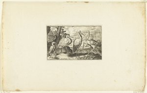 Stork Among Two Other Birds (Volatilium varii generis) by Anonymous