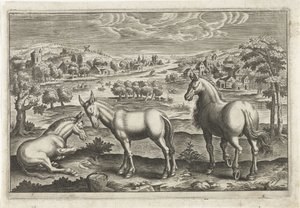 Horse and Donkeys (series title: Four-legged Animals) by Anonymous