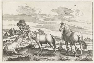 Horse and Donkeys (Four-Legged Animals Series) by Anonymous